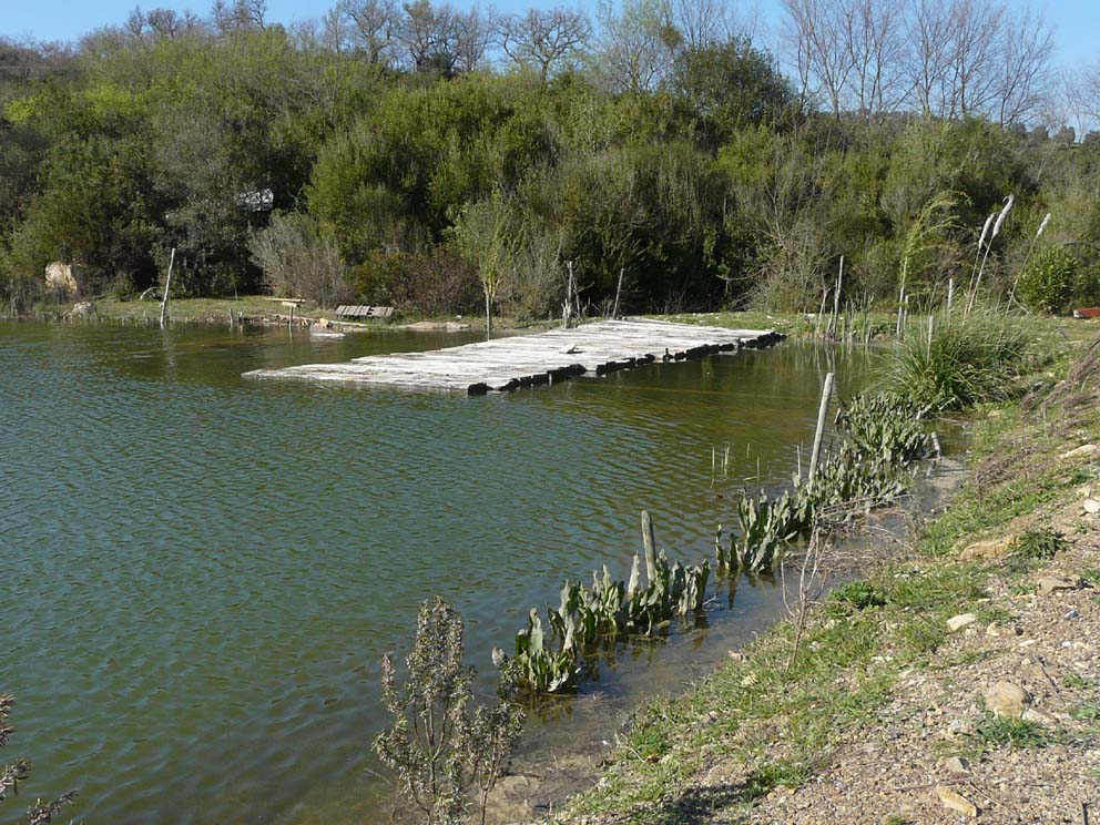 Lago artificiale da naturalizzare in piena Maremma!